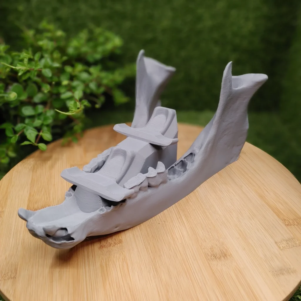 3D Printed Boar Jaw Dual Controller Stand 1