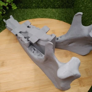 3D Printed Boar Jaw Dual Controller Stand 5
