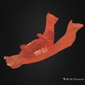 Boar Jaw Dual Controller Stand 3D model – wireframe and triangle count